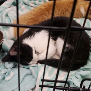 Meet your Posher, Damien